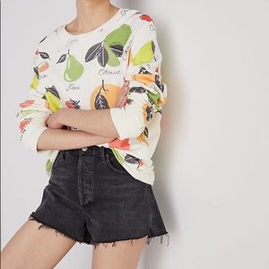 Anthropologie sweater fruit